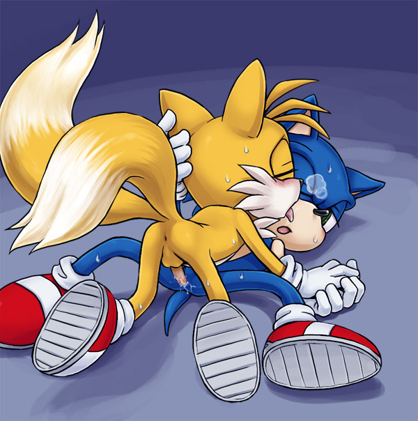 Ychan/g/sotainux (sonic tails and knuckles)/72275.