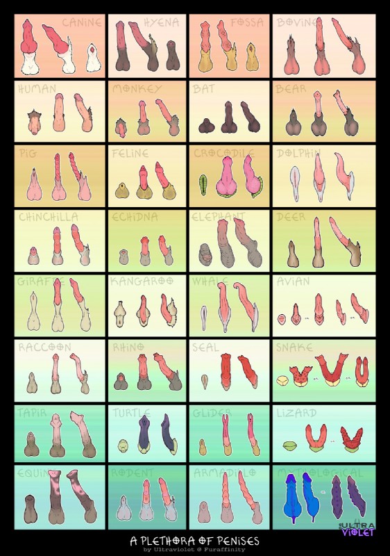 Ychan - r - chart of different cocks - 72885