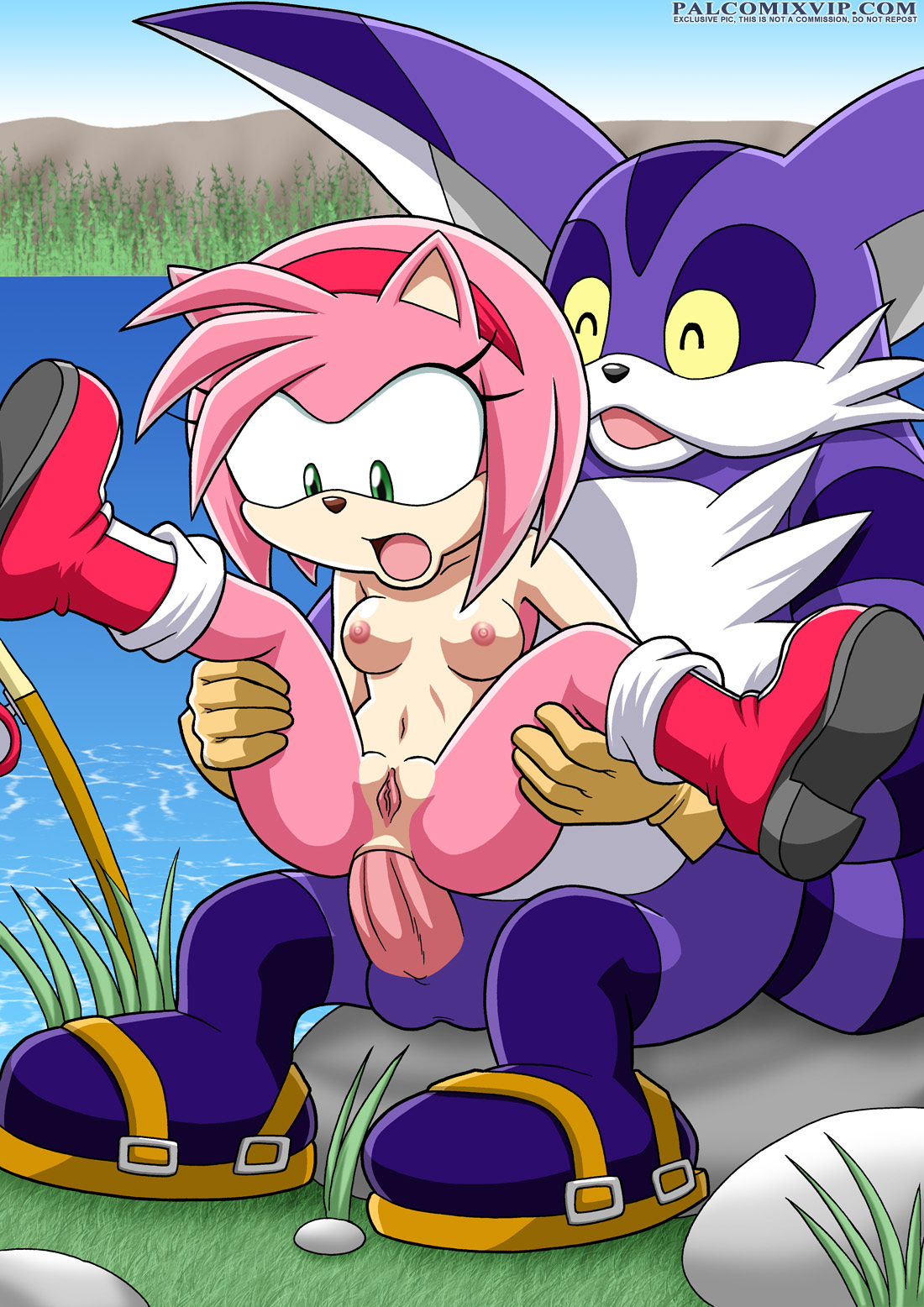 Ychan - r - amy rose - 72923