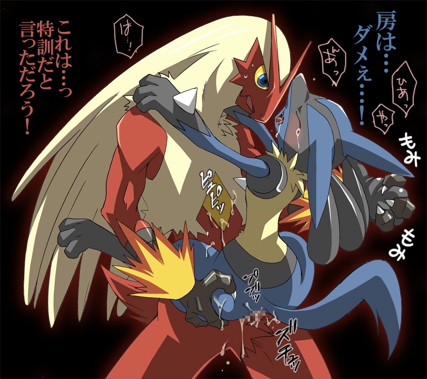 Ychan - g - blaziken - blaziken