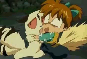 Ychan - r - shippo and kirara - 76331