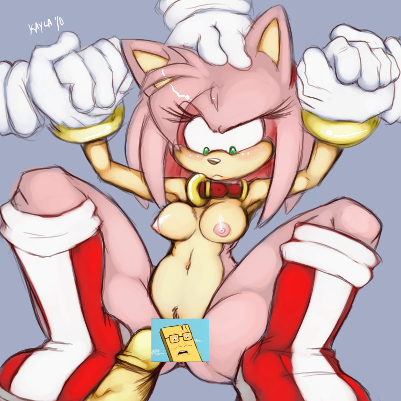 Ychan - r - amy rose - 76604