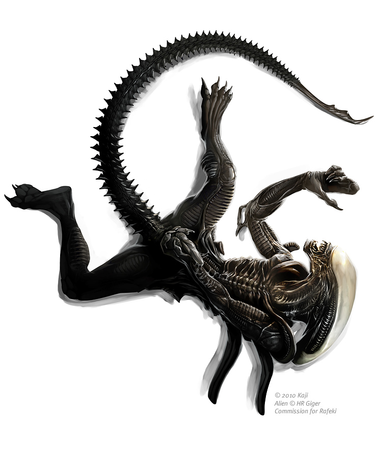 Ychan - r - alien vs predator - 76653