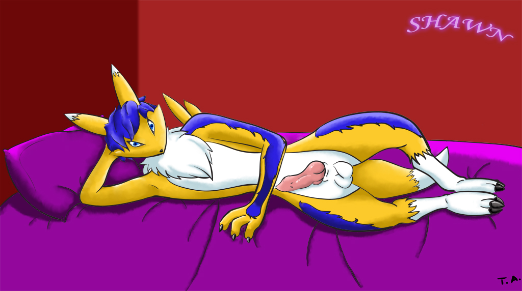 Ychan - m - male renamon - 77670