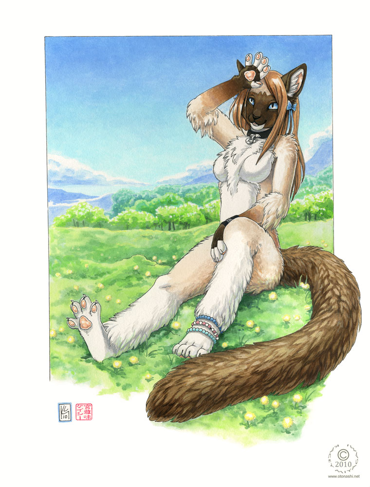 Ychan - f - sexy felines - 79956