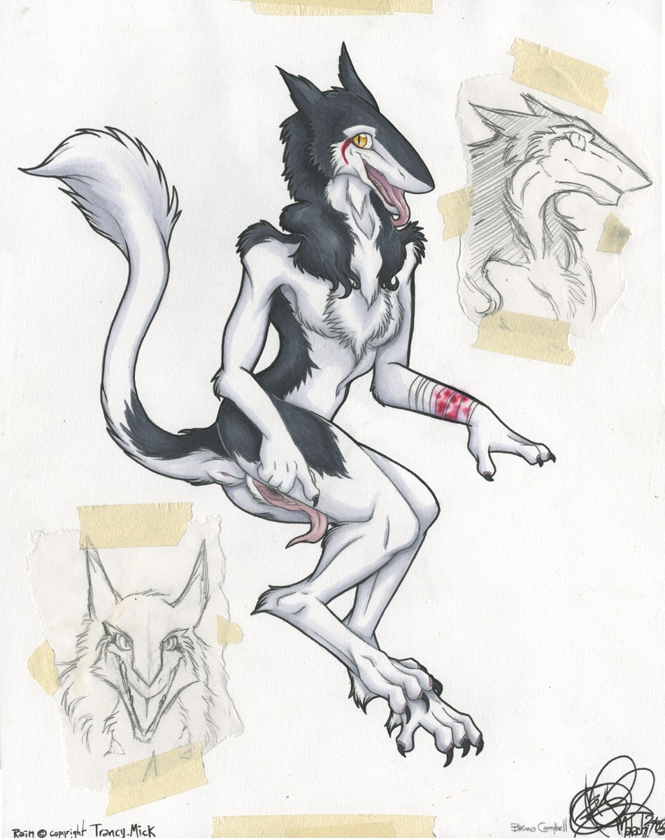 Ychan - h - sergals - 82476