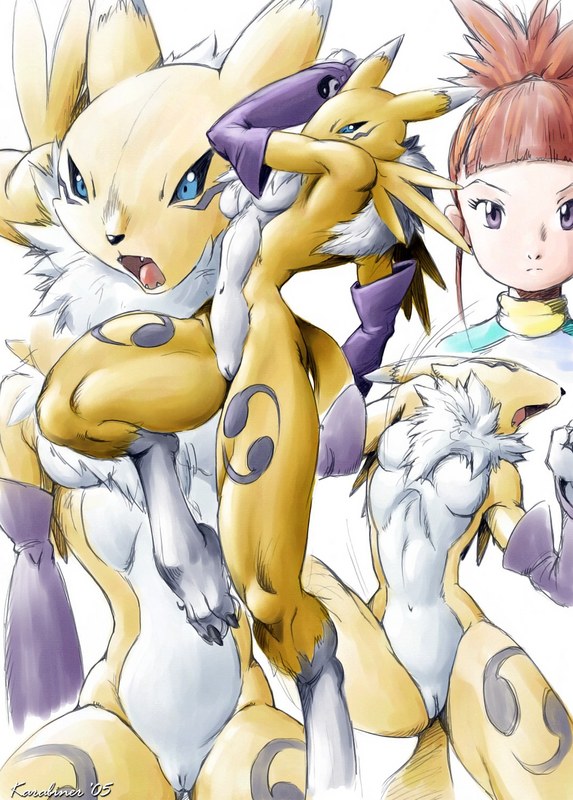 Ychan - r - renamon - 8254