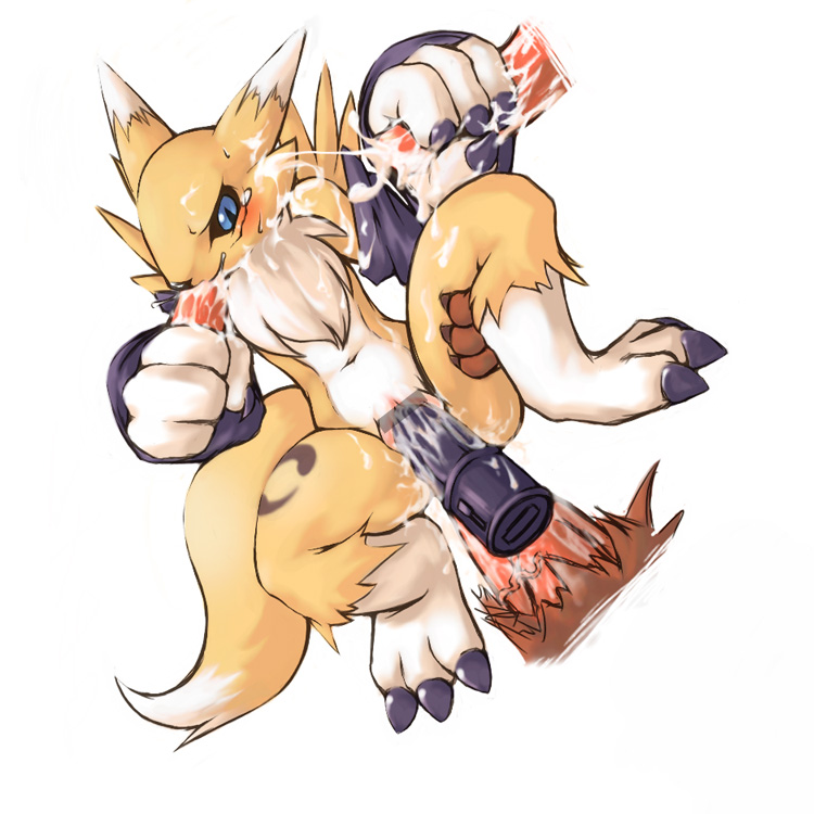 Ychan - f - renamon - 8347