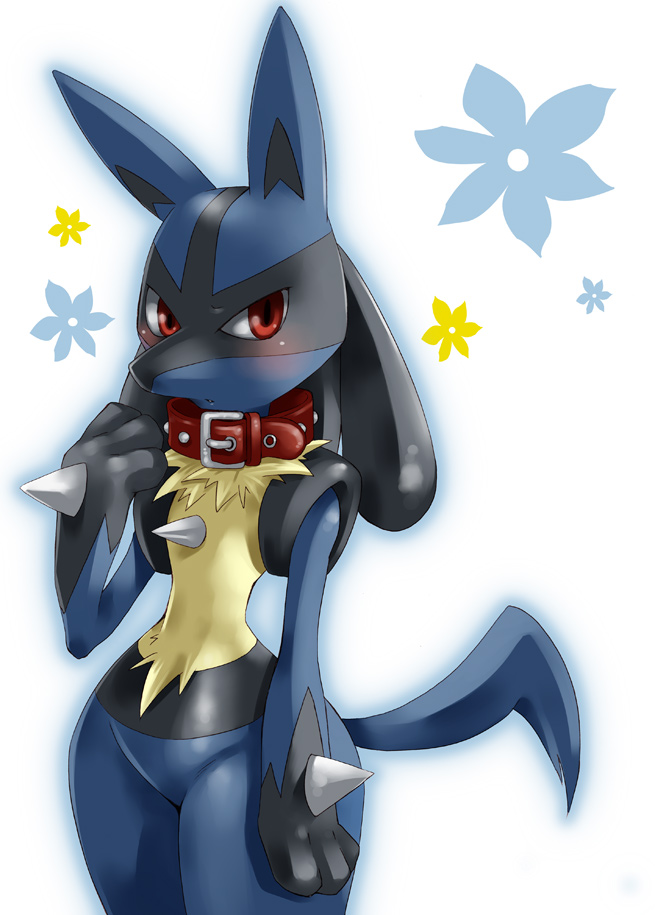 Ychan - f - female lucario thread - 84361