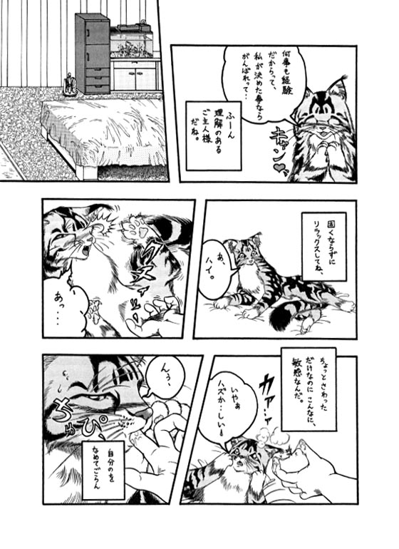 Ychan - s - house cat - house cat