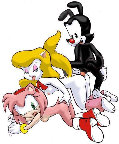 Ychan - s - sonic x animaniacs - sonic x animaniacs