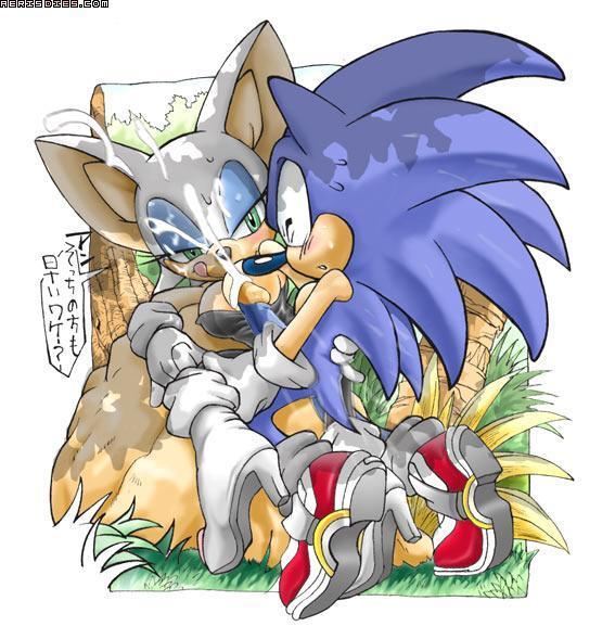 Ychan - s - sonic the hedgehog - 8913