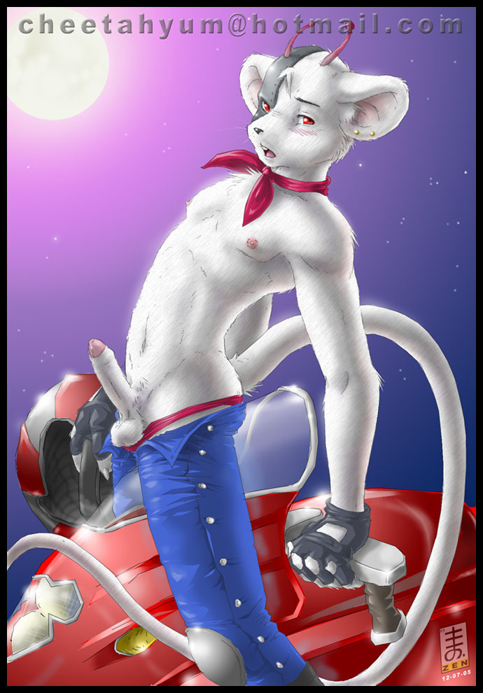 Ychan - r - the bikermice from mars - 8925