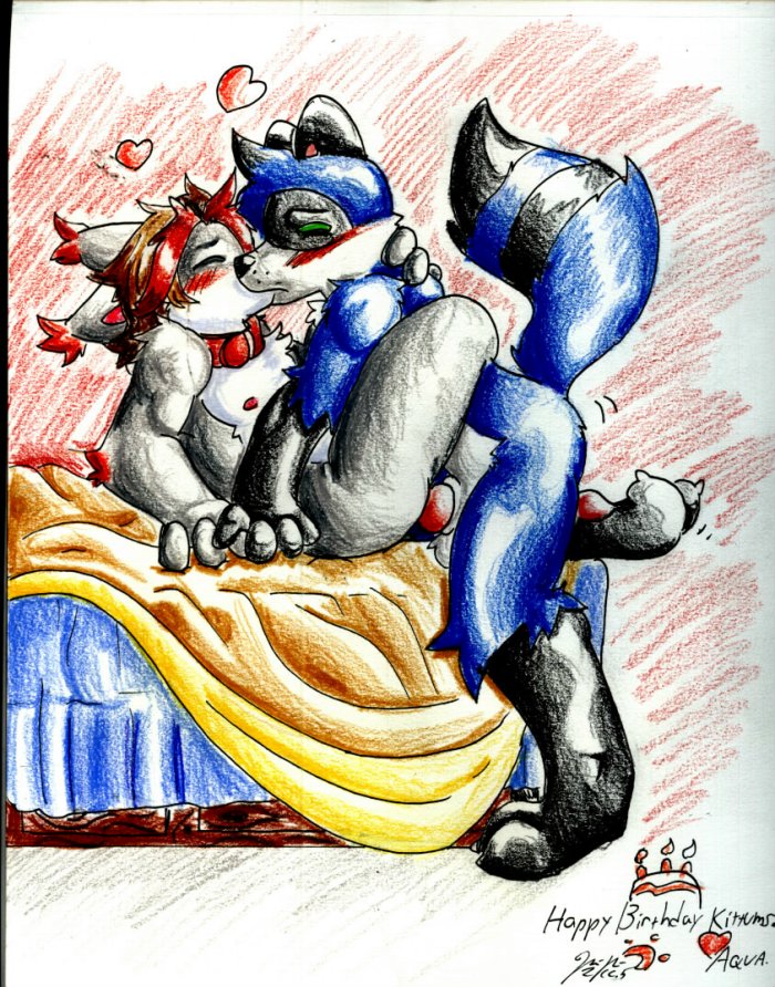 Ychan - m - coon bois please - aquacoon - kitty wuff wuffy coon