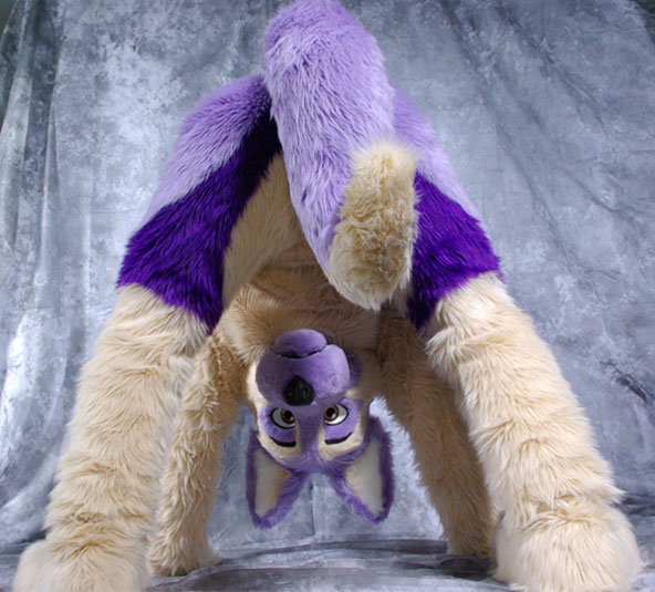 Ychan - rl - cute fursuit butts - 89629