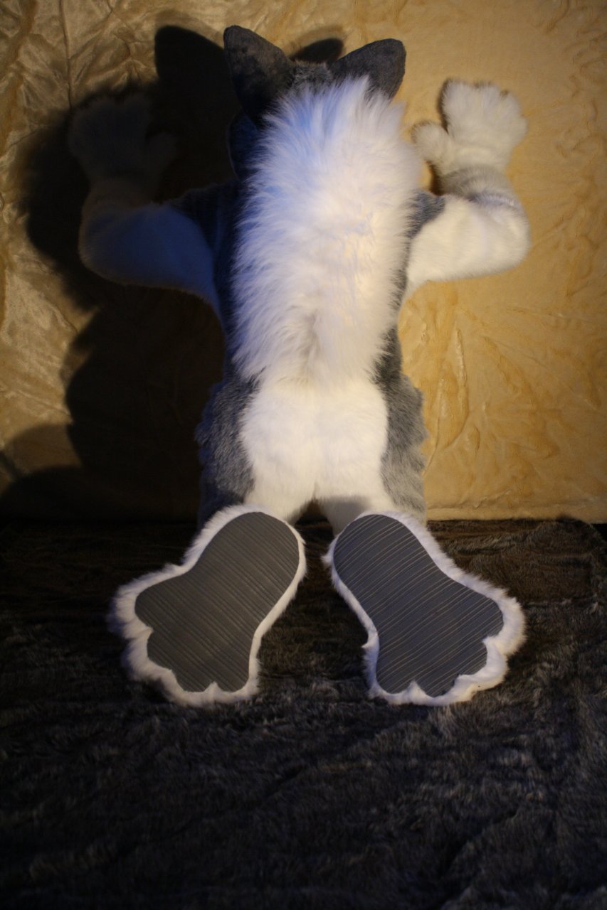 Ychan - rl - cute fursuit butts - 89630