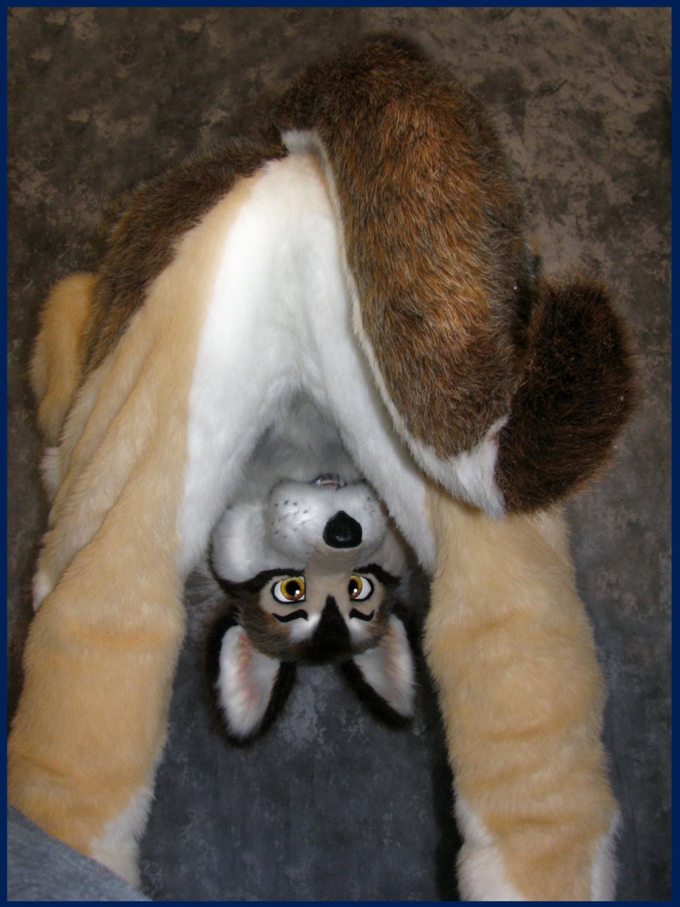 Ychan - rl - cute fursuit butts - 89635