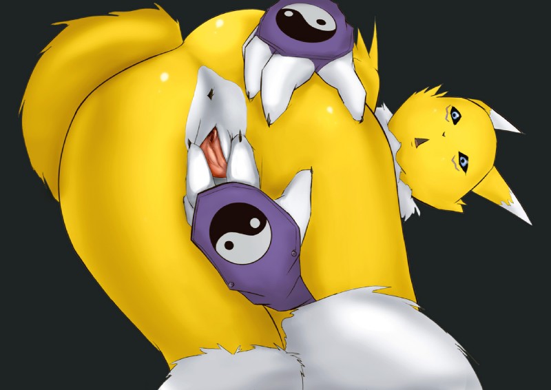 Ychan - f - renamon - 90197