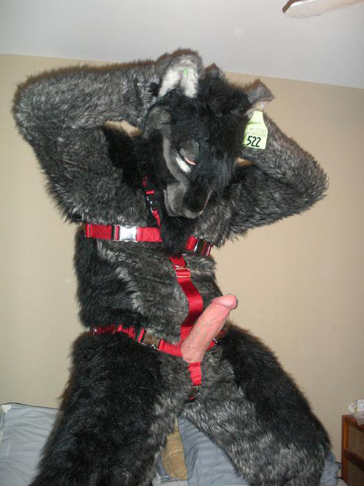 Ychan - rl - fursuit crotch - 90288