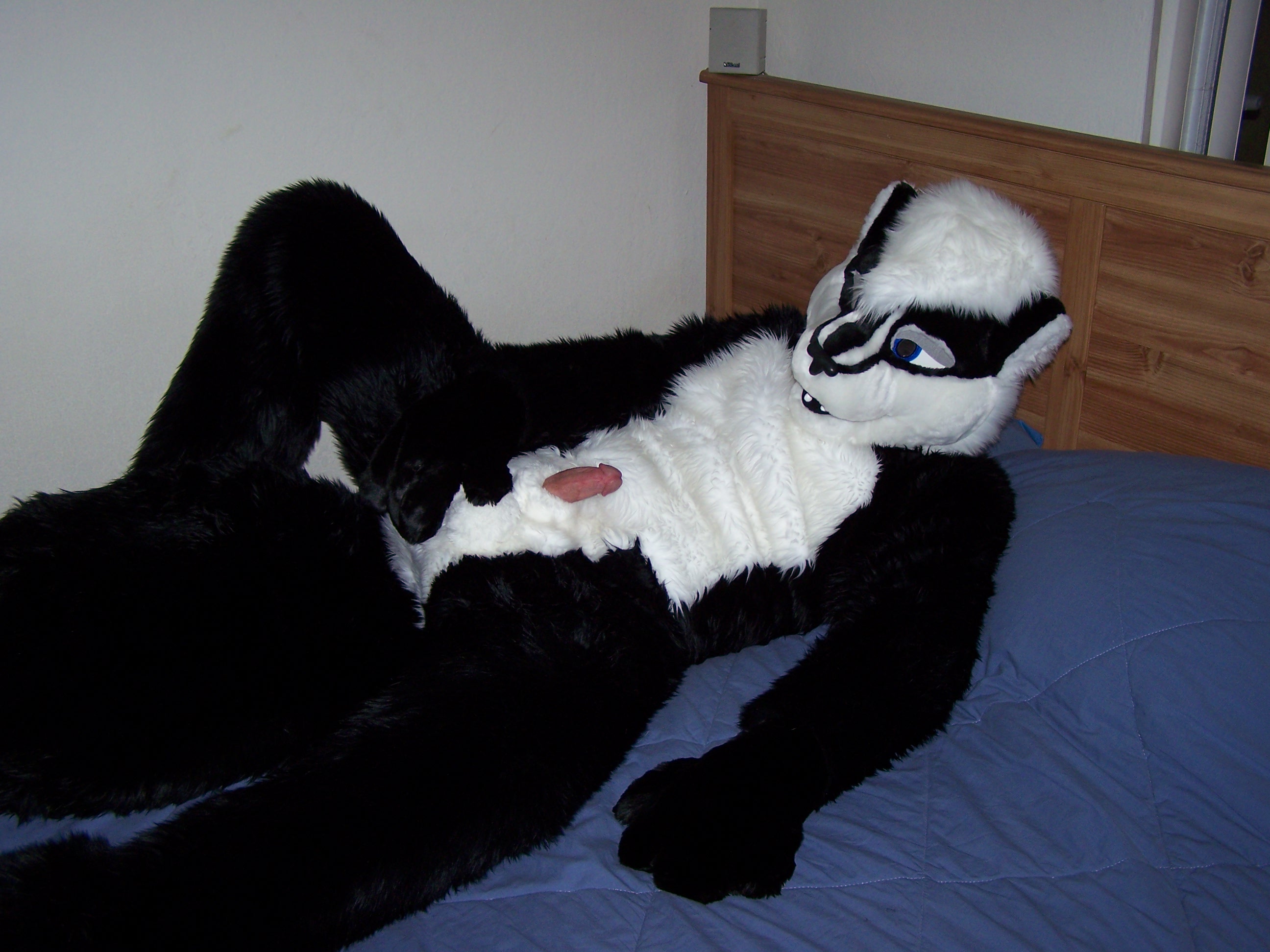 Ychan - rl - fursuit crotch - 90292