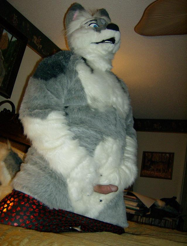 Ychan - rl - fursuit cocks out - 90314