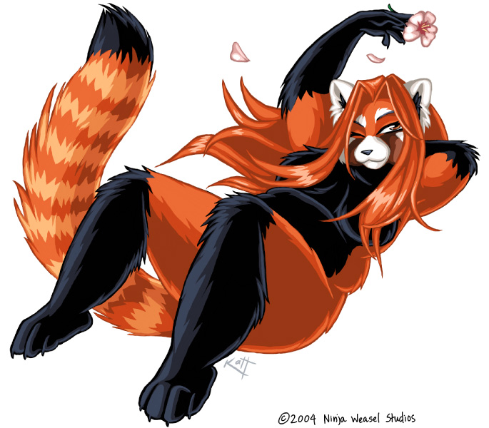 Ychan - f - red pandas - 93941