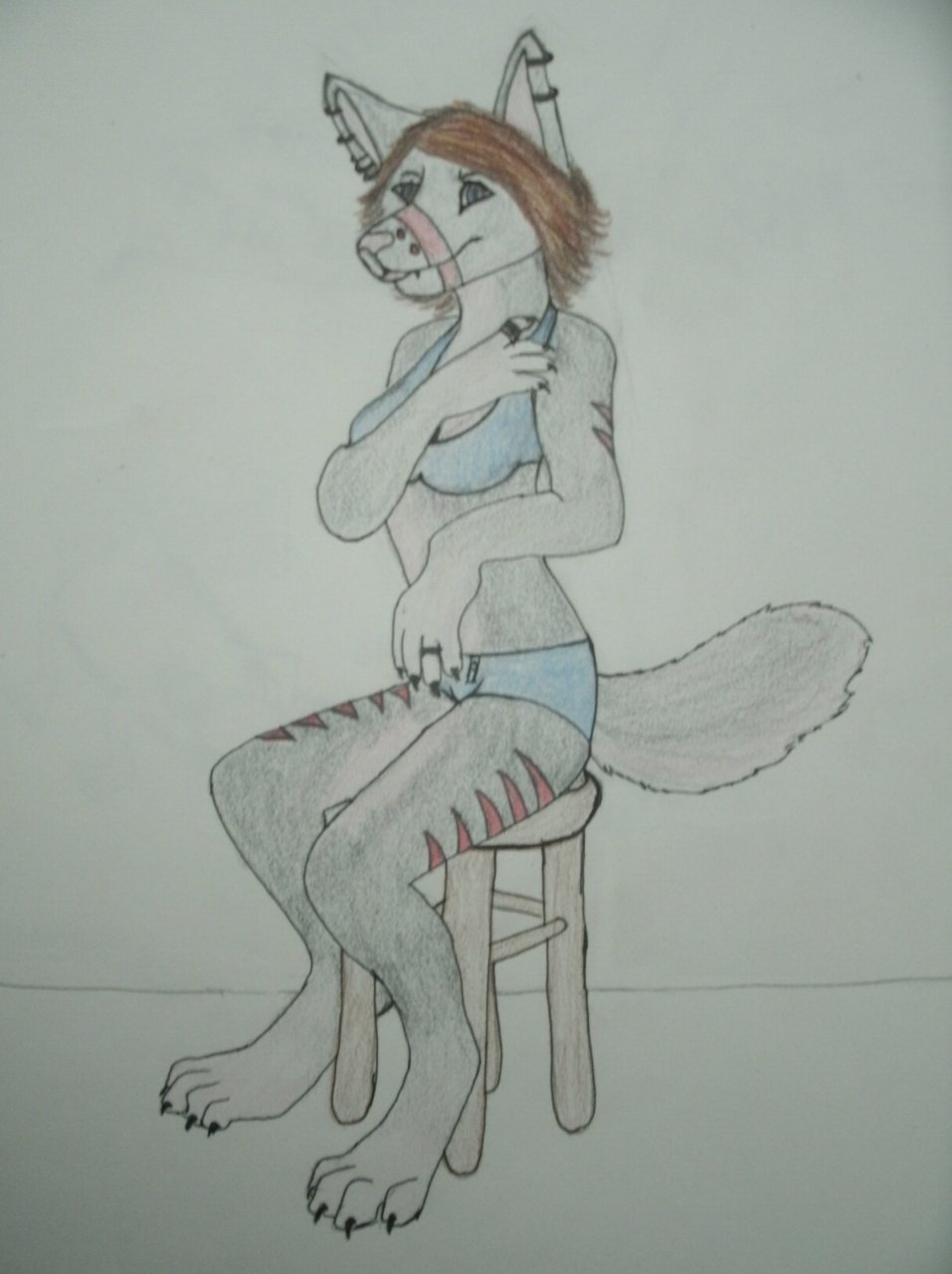 Ychan - f - huskies wolves other canine - 94511