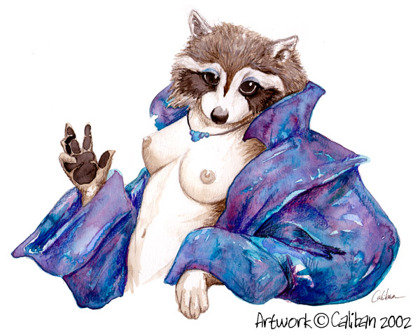 Ychan - f - raccoons - 95590