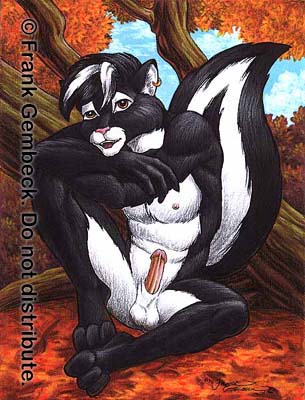 Ychan - m - skunks - 99308